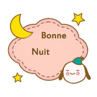 bonne nuit chien